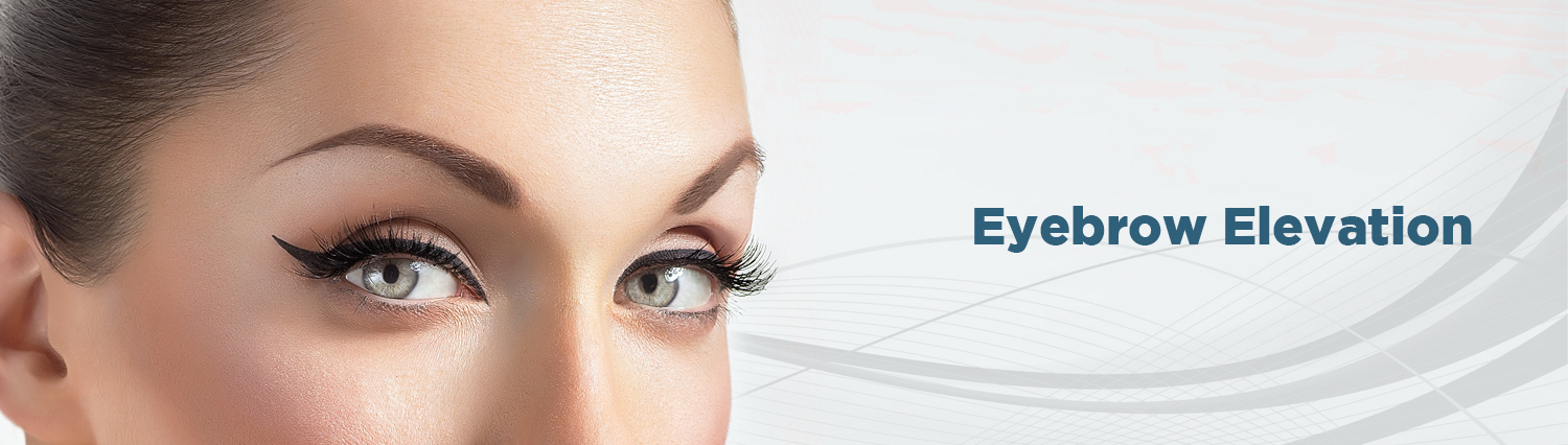 02. Eyebrow Elevation 02. Eyebrow Elevation